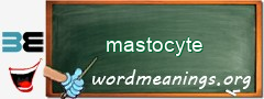 WordMeaning blackboard for mastocyte